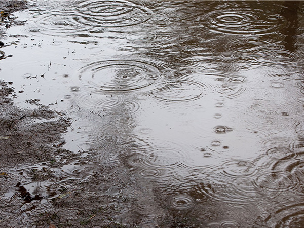 雨