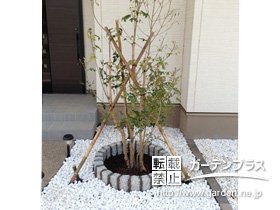 植栽