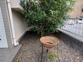 植栽も撤去してコンクリートで舗装